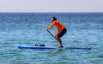 PADDLEBOARD